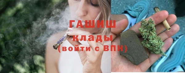 шишки Аркадак
