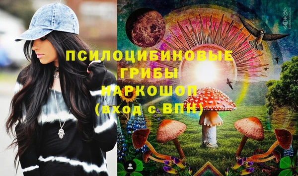 шишки Аркадак