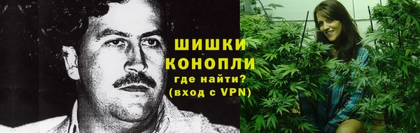 шишки Аркадак