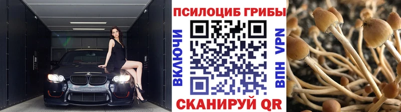 где купить наркотик  Ишимбай  Галлюциногенные грибы прущие грибы 